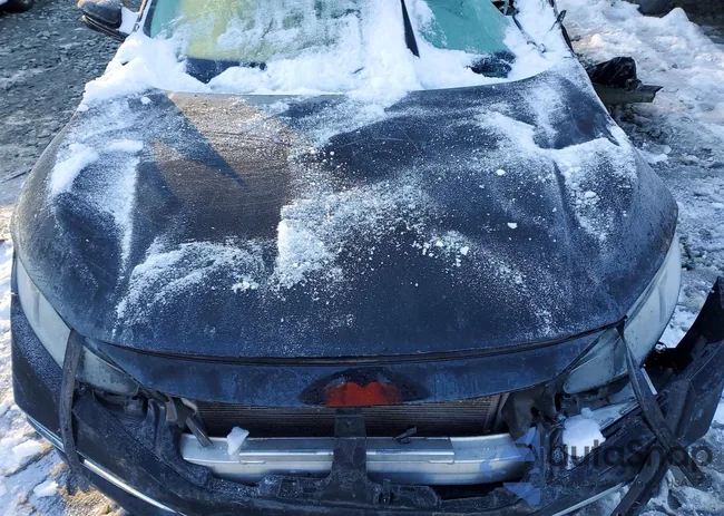 19XFC1F35LE011435: 78851475