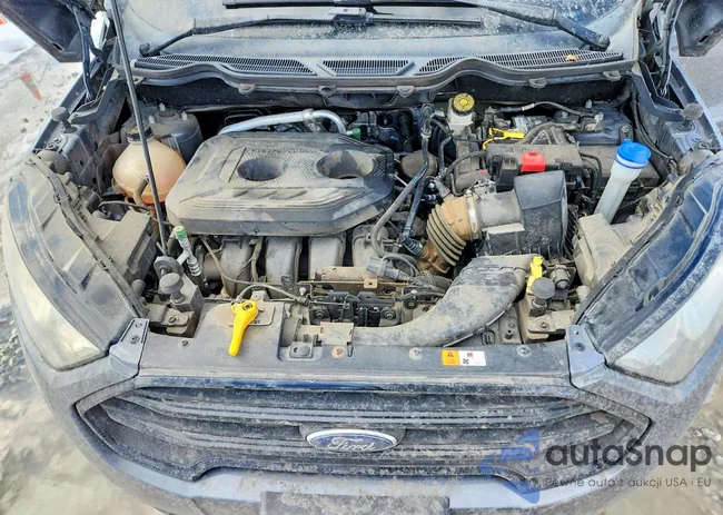 MAJ6P1SL4JC179216: 77190395