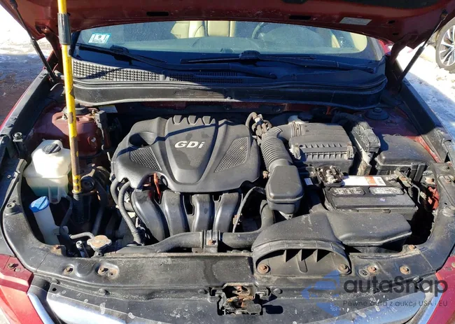 5NPEC4AC5BH294465: 79341335