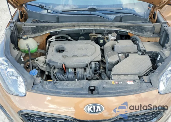 KNDP63AC2L7711721: 79021225