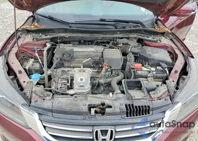 1HGCR2F8XFA009675: 77725565