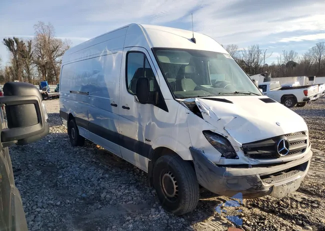 WD3PE8CC9B5577372: 77506695