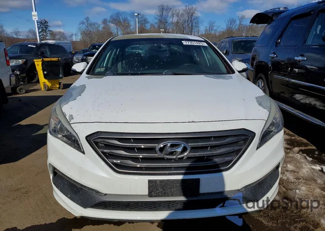 5NPE34AF0HH551812: 77351425