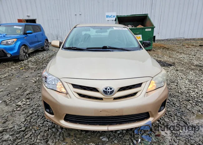 2T1BU4EE9DC988481: 77679815