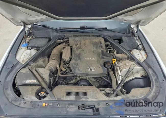 KMHGN4JE9FU020309: 77168855