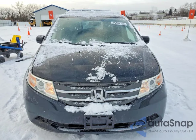 5FNRL5H60DB080928: 78447165