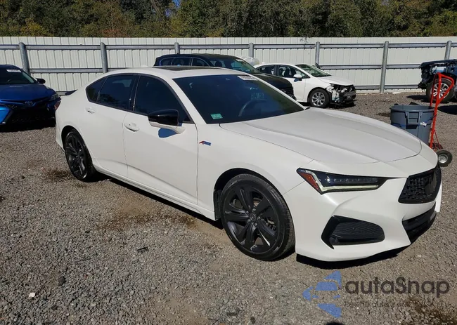 19UUB6F59MA006172: 75934685