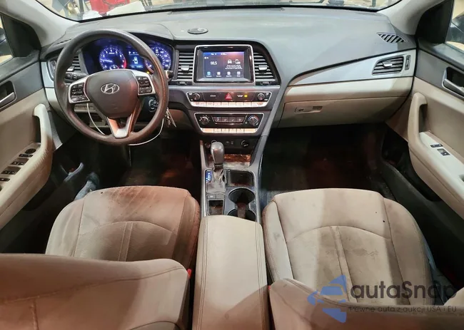 5NPE24AF4KH802552: 76977425