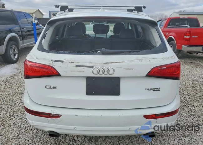 WA1C8AFP4DA006409: 77797925