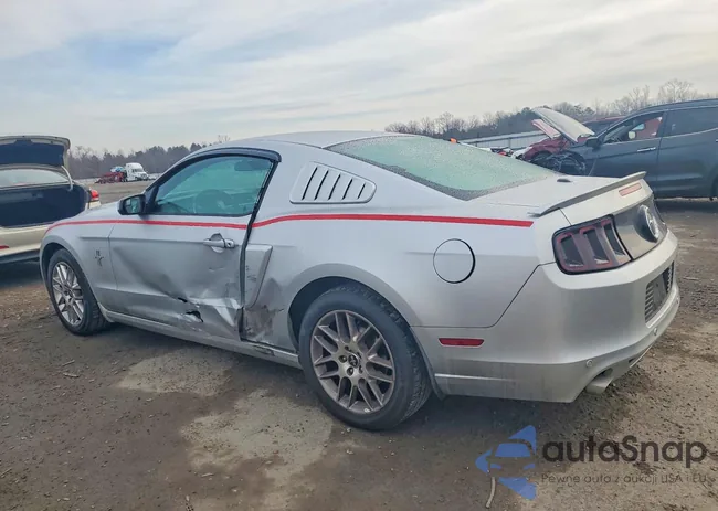 1ZVBP8AM6D5281554: 78809075