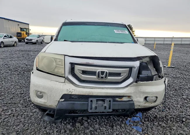 5FNYF48519B033659: 74910055