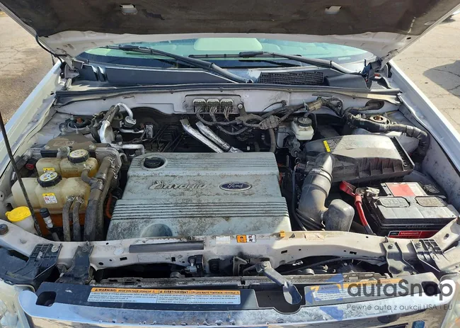 1FMCU49H08KC69175: 77750965