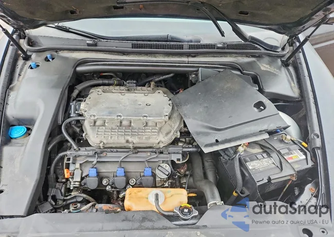 19UUA66247A037021: 77490275