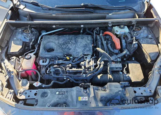 JTMRWRFV5LD054646: 77331285