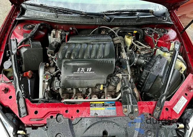 2G1WD58C389145408: 76359895