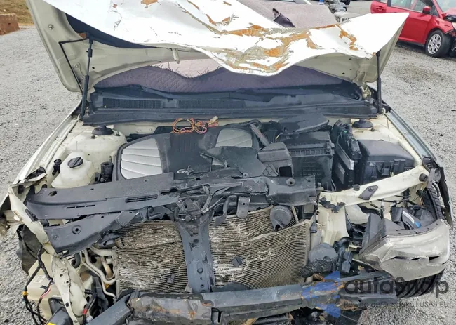 KNALN4D72G5208601: 79074115