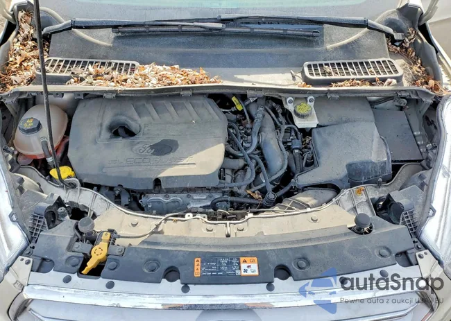 1FMCU0GD4JUC28308: 76459835