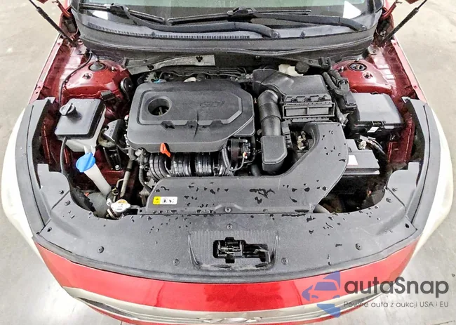 5NPE24AF2GH329791: 96065485