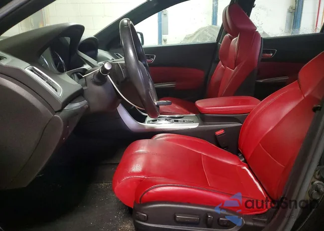 19UUB2F66KA004345: 78278905