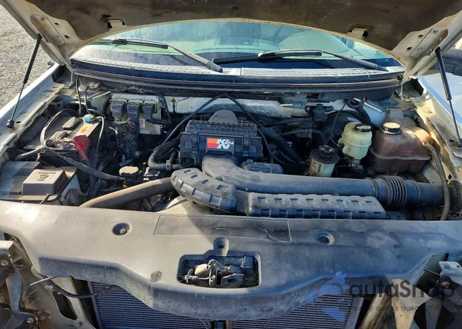 1FTPW14V16KC79402: 75949425