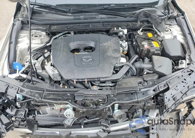 JM1BPBMM5P1601583: 77866825