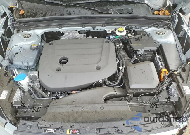 YV4L12UE9R2307628: 75646165