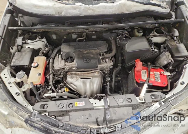 JTMBFREV1JJ259074: 78845655