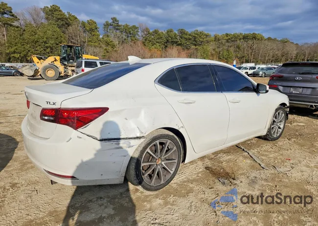 19UUB2F36GA000955: 77164645