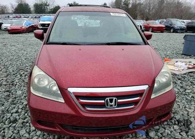 5FNRL38495B415060: 79418315