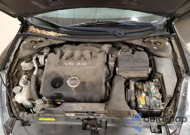 1N4BL2EP2AC184669: 79159905