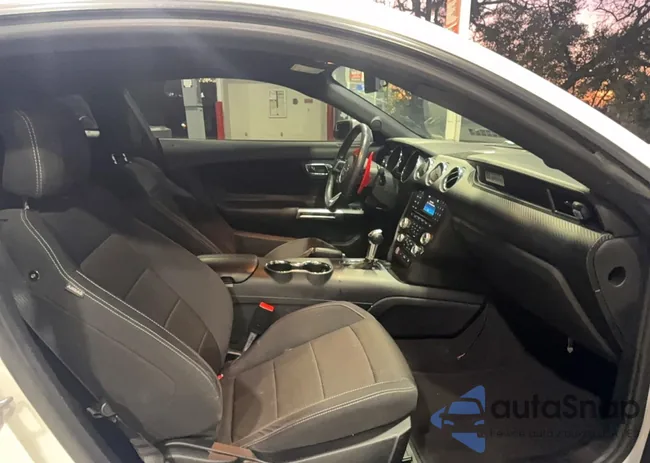 1FA6P8AM3G5298472: 77433145