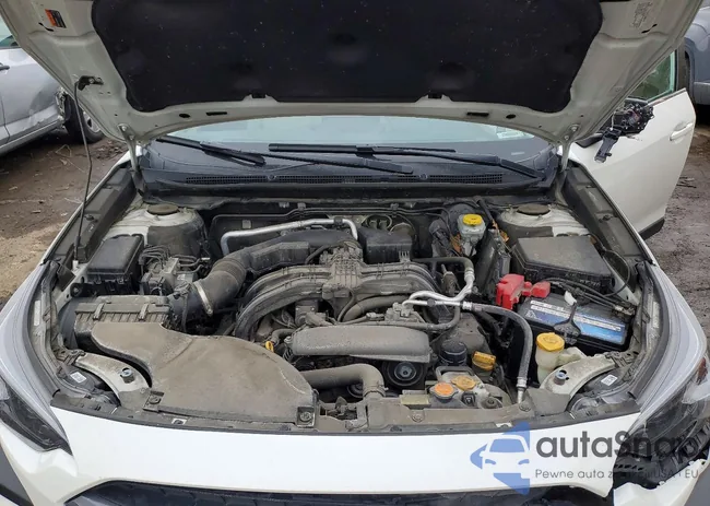 4S4BTANC9P3139105: 77012525