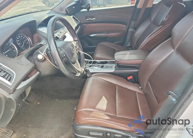 19UUB2F36GA000955: 77164645