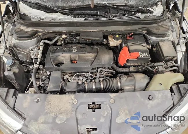 5J8TC2H51ML019176: 77964495