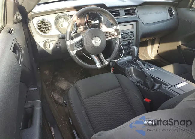 1ZVBP8AMXE5216269: 78733215