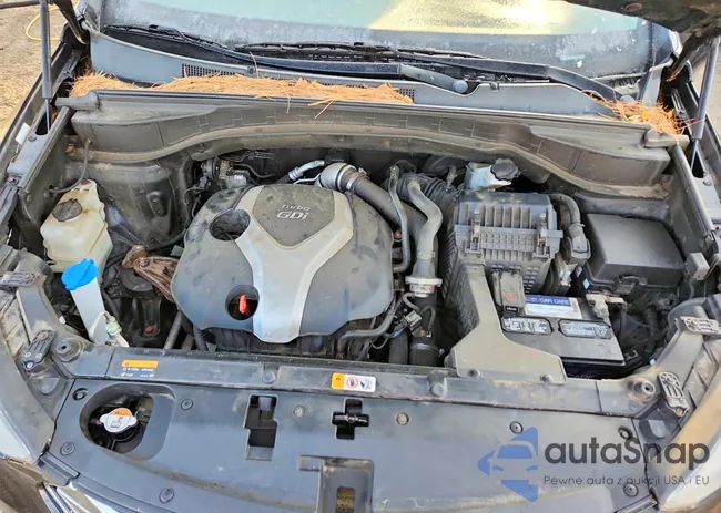 5XYZUDLA2DG121913: 77685465