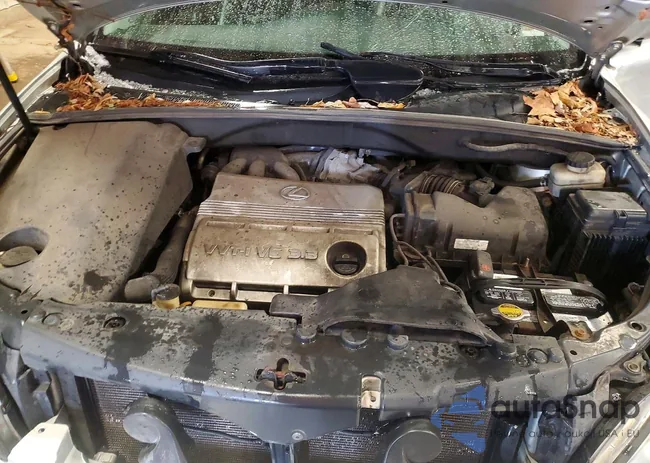 2T2HA31U96C096353: 75557795