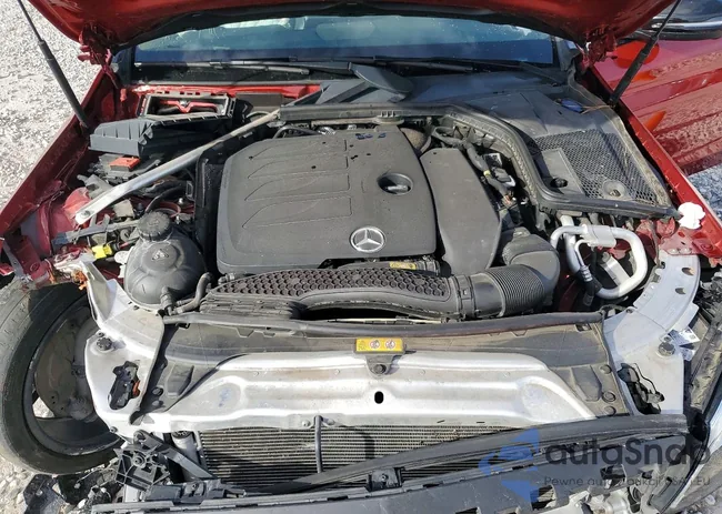 WDDWF8DB5KR502509: 79080125