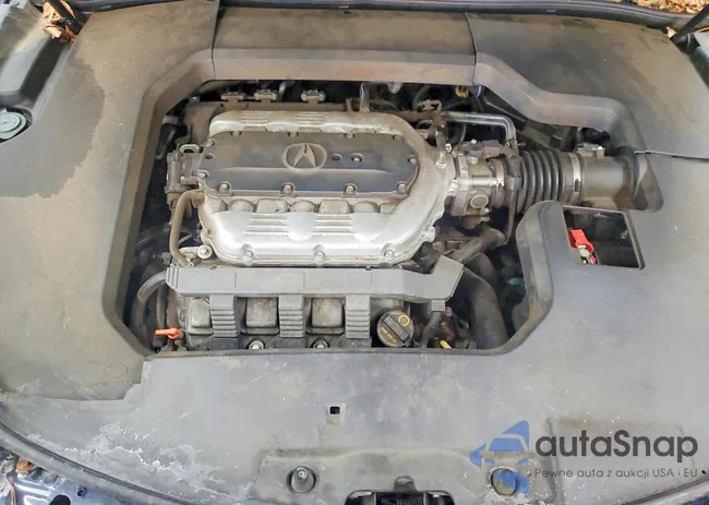 19UUA8F55DA015451: 74477185