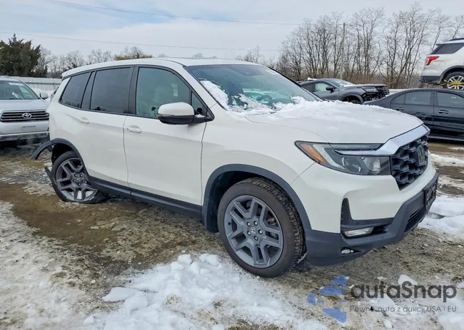 5FNYF8H51PB023038: 75424425