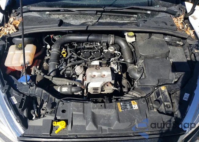 1FADP3FE0JL200352: 79032075