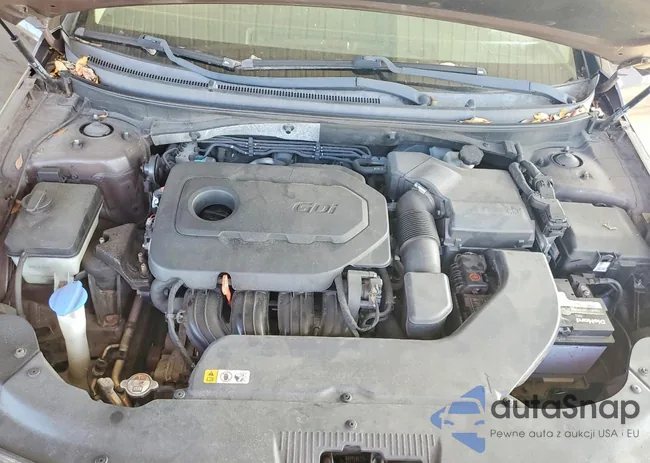 5NPE24AF9FH063457: 79195115