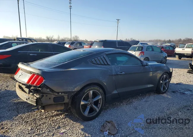 1FA6P8AM9G5241600: 77273585