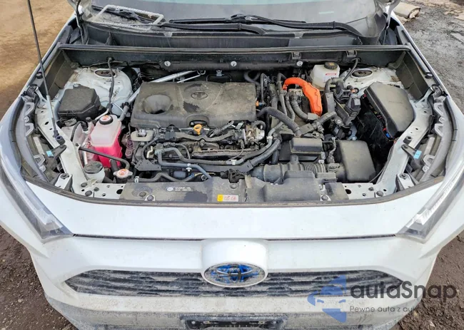 4T3RWRFV9NU053117: 76923825