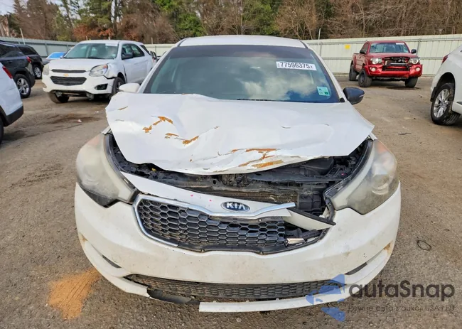 KNAFK5A8XG5631953: 77596375