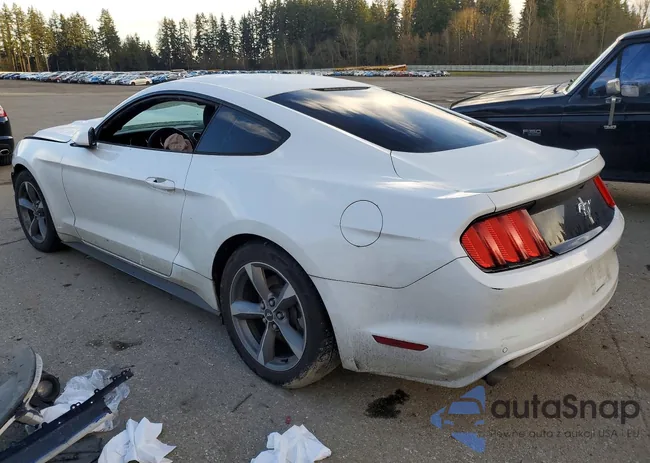 1FA6P8AM5F5431442: 76446875