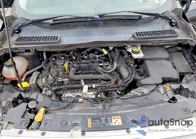 1FMCU9GD2KUB07377: 75423195