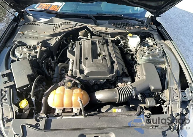 1FA6P8THXF5356818: 77966275