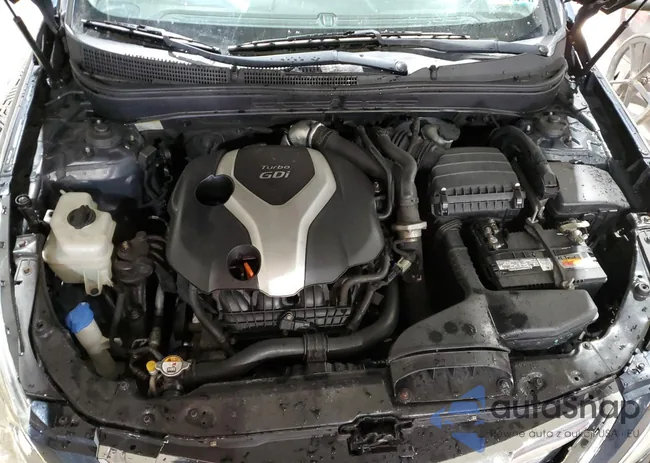 5NPEC4AB6DH779630: 76337345