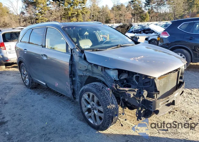 5XYPKDA52KG555300: 77563635